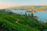 Sri Lanka