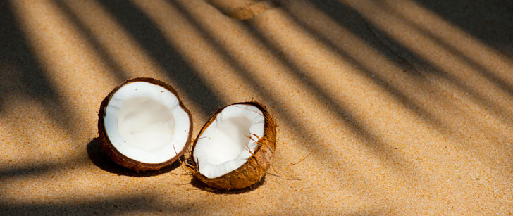 Noix de coco et plage du Sri Lanka