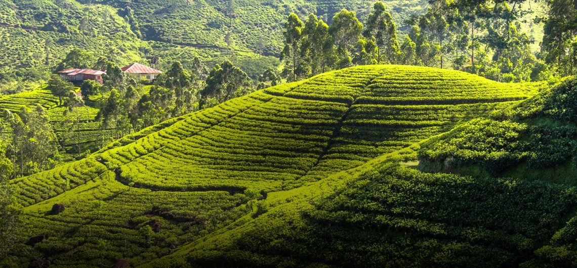 partir au sri lanka en mars