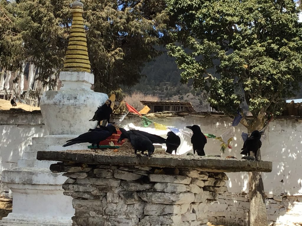 partir au bhoutan aloka sanna