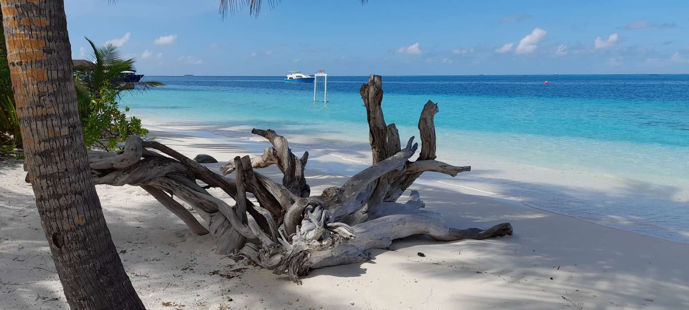 Paysage de rêve aux Maldives