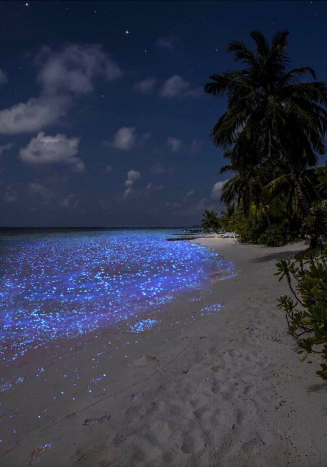 Phytoplancton bioluminescent aux Maldives