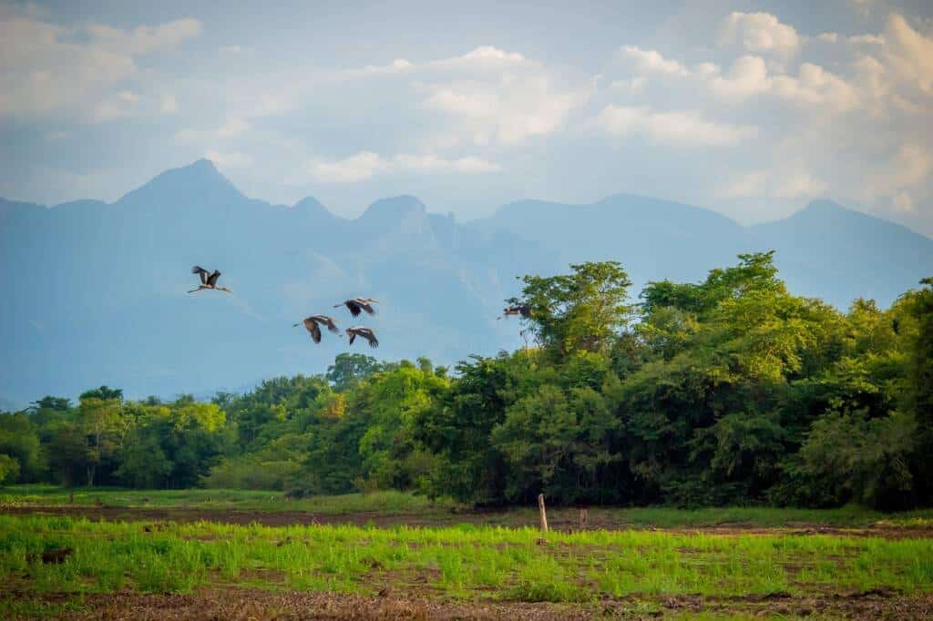 connaître les moussons pour savoir quand partir au Sri Lanka