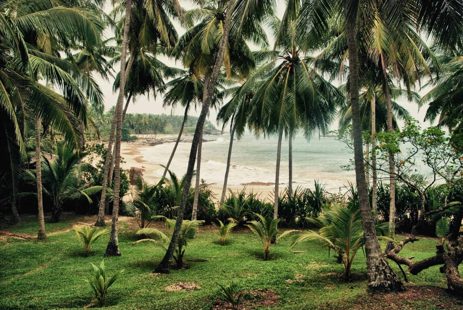 Voyager au Sri Lanka en janvier