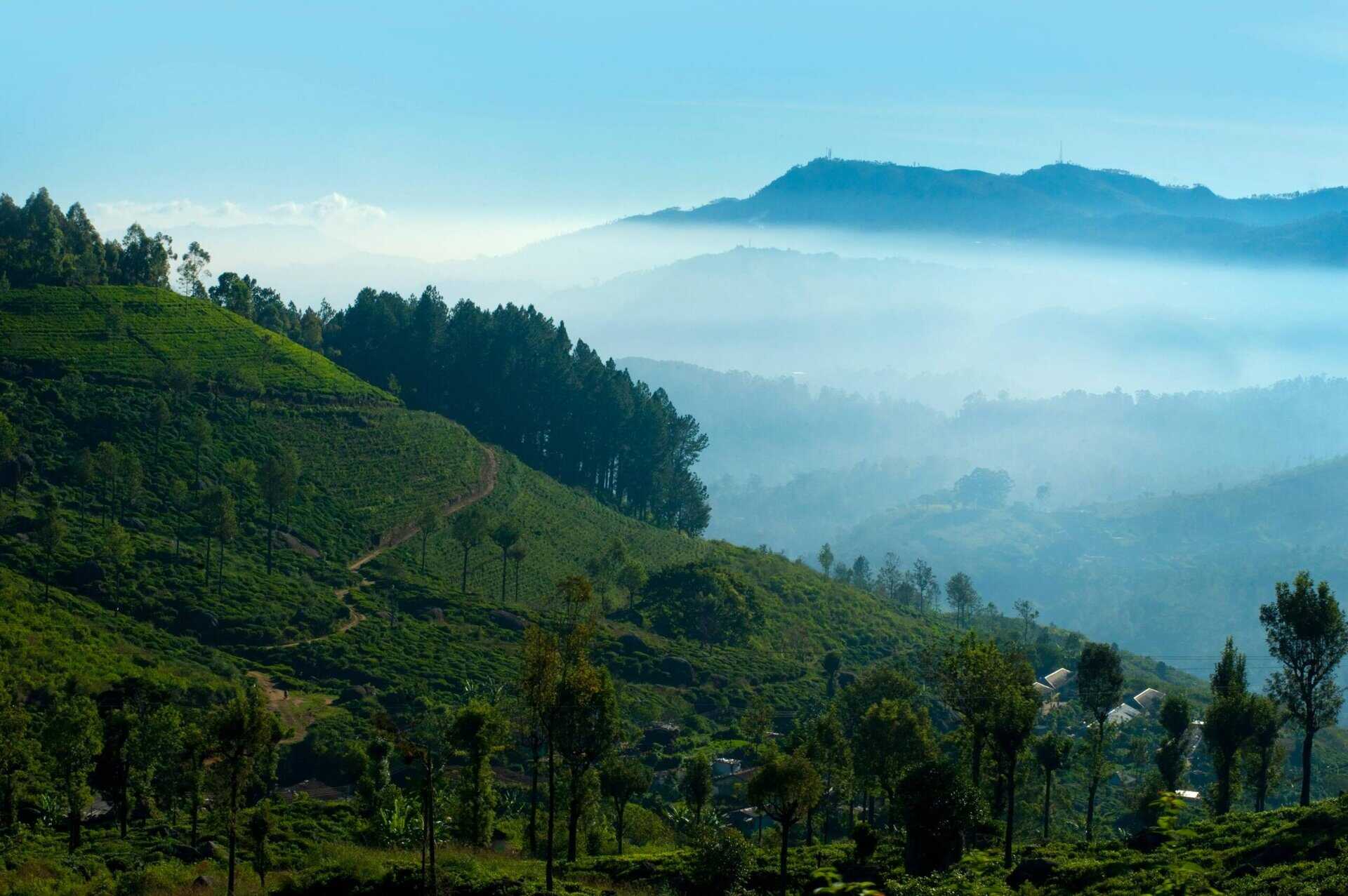 Partir au Sri Lanka en février