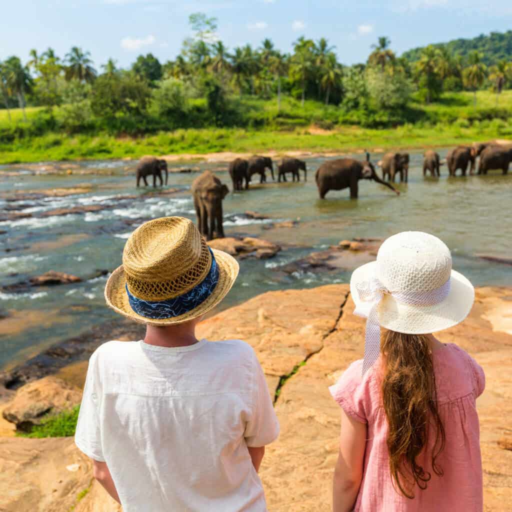 Safari en famille dans un parc national au Sri Lanka, à la rencontre des éléphants