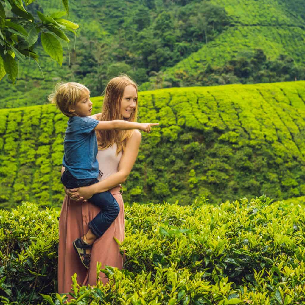 Balade en famille dans les rizières verdoyantes du Sri Lanka