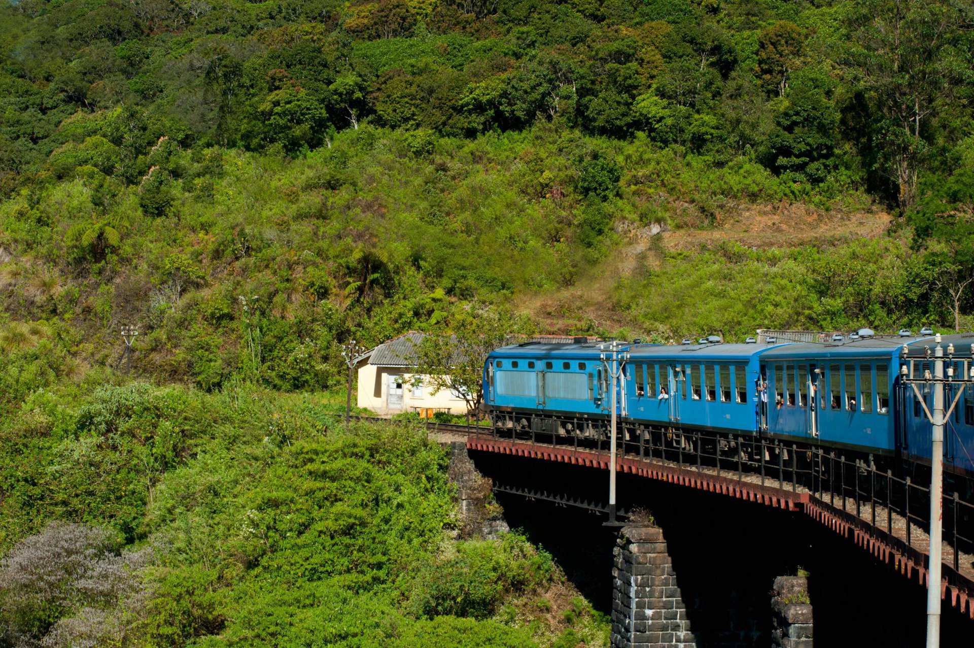 Voyager au Sri Lanka en novembre