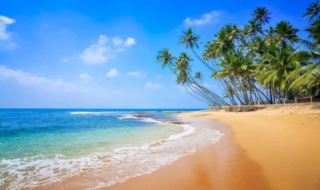 Les plages du sud du Sri Lanka en mars