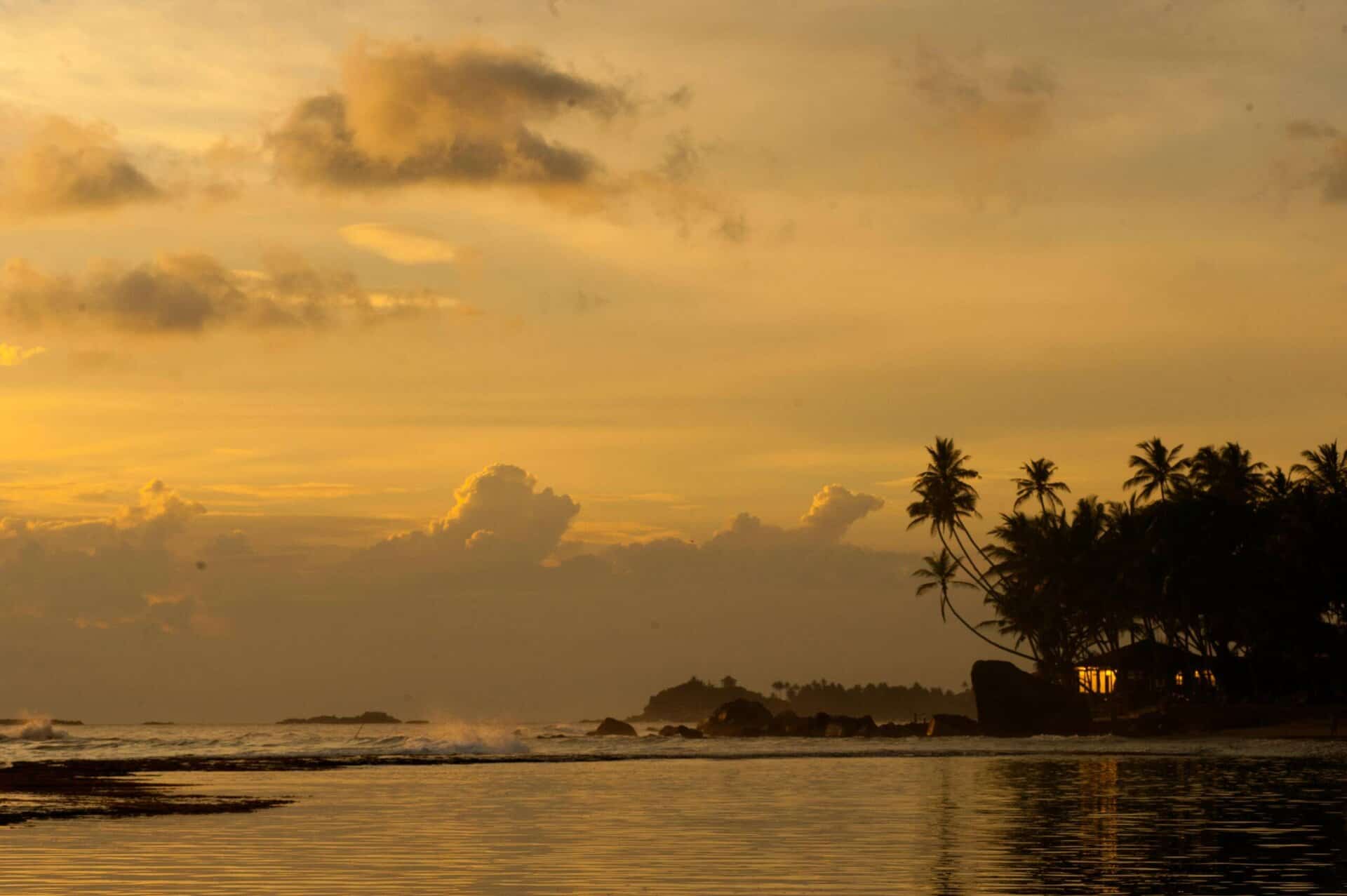 Partir au Sri Lanka en mars