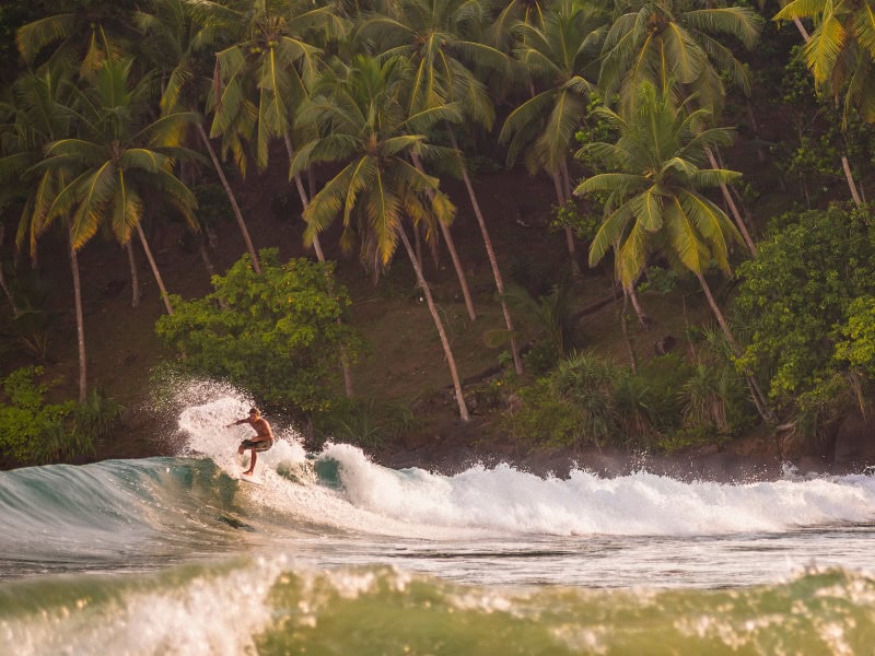 surfeur vague sri lanka palmier plage cours sejour