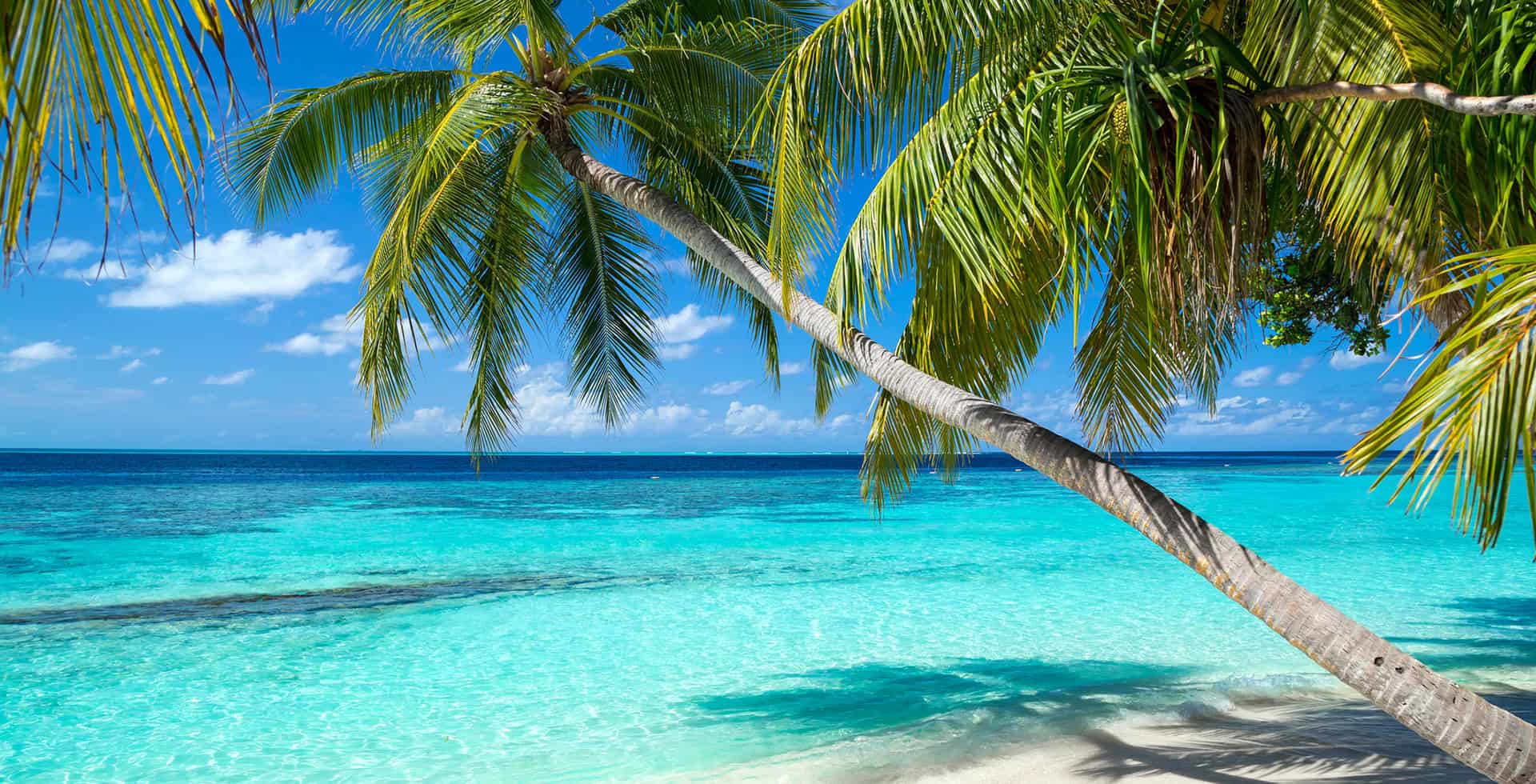 Nos conseils pour un voyage en juillet au Sri Lanka