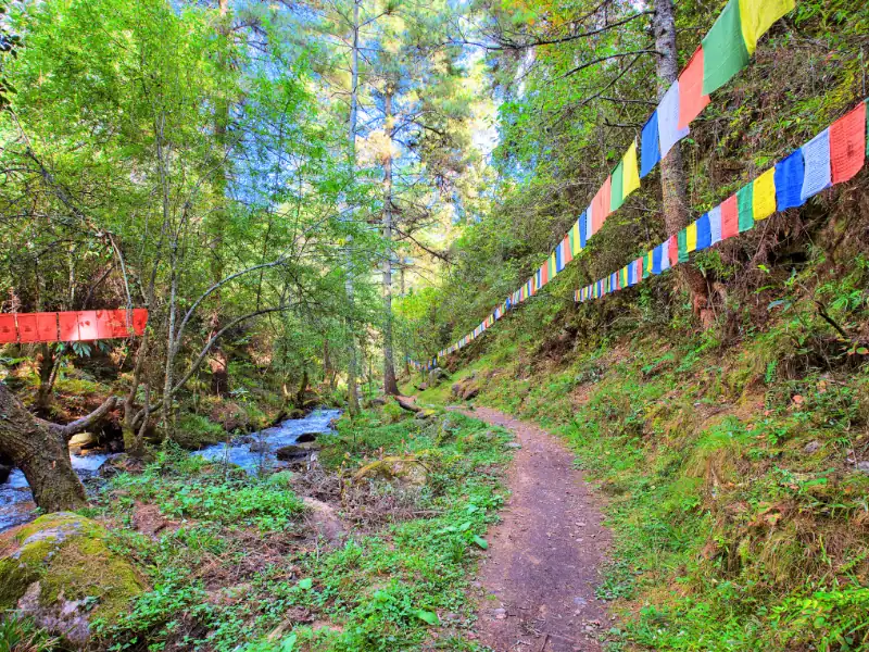 Sentier de randonnée au Bhoutan Druk Path