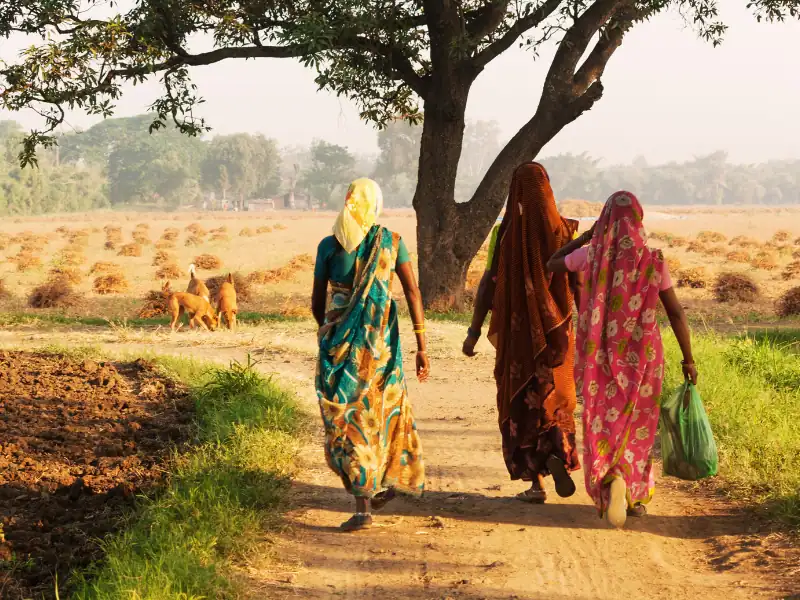 Paysage de la vie quotidienne de femmes indiennes dans une Inde rurale