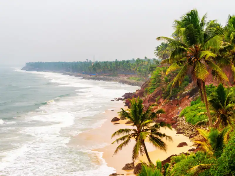 Vue sur une plage tropicale bordée de palmier dans le Kerala en Inde voyage sur mesure août