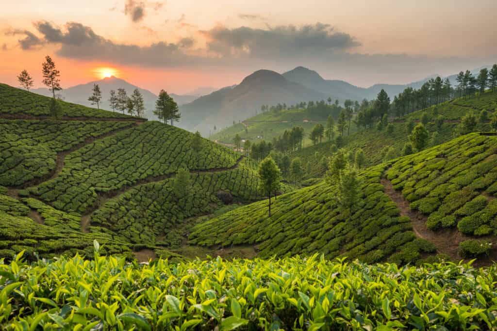 Randonnées en octobre au Sri Lanka