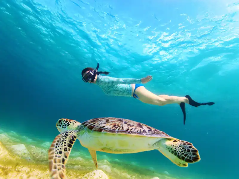 Femme nageant avec une tortue au Sri lanka exploration fond marin activité snorkeling