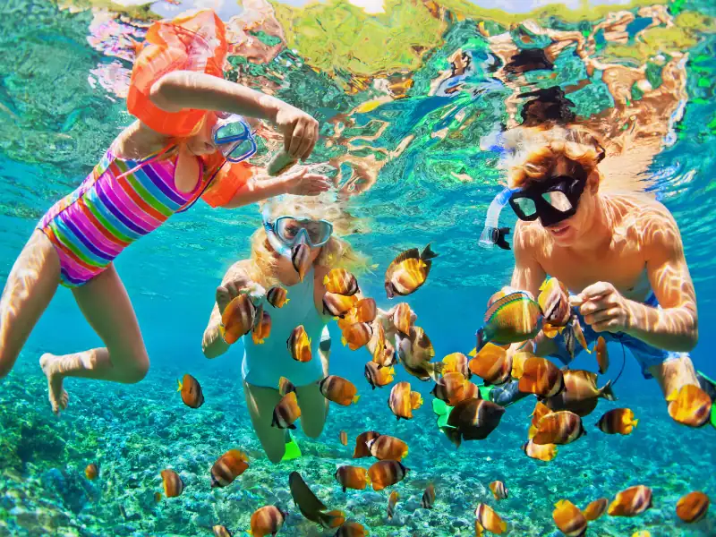 Famille observant des poissons clown au Sri Lanka lors d'une sortie snorkeling