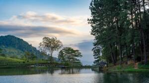 Détente complète dans une cure ayurvédique : circuit au Sri Lanka