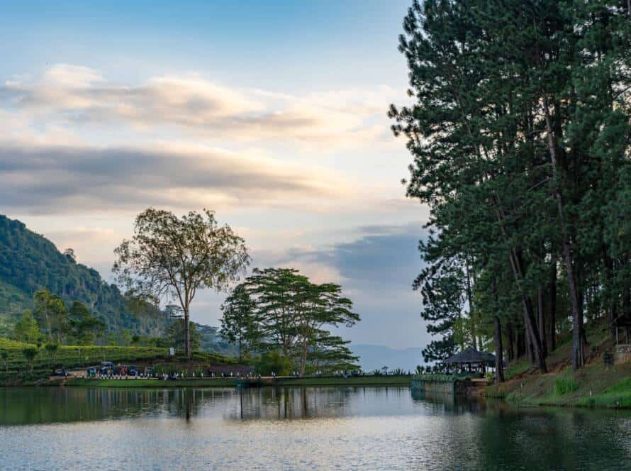 Détente complète dans une cure ayurvédique : circuit au Sri Lanka
