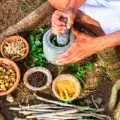 Voyage au Sri Lanka : sur la route des épices et saveurs